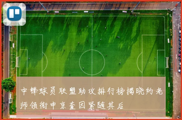 中锋球员联盟助攻排行榜揭晓约老师领衔申京奎因紧随其后