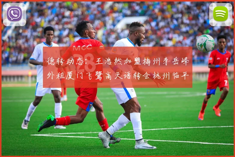 德转动态：王浩然加盟梅州李岳峰外租厦门飞鹭高天语转会杭州临平吴越