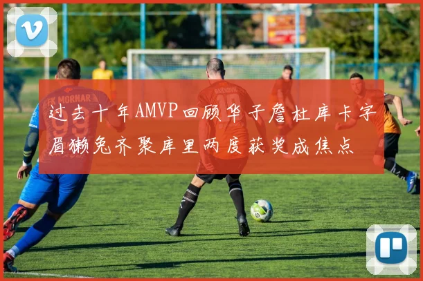 过去十年AMVP回顾华子詹杜库卡字眉獭兔齐聚库里两度获奖成焦点