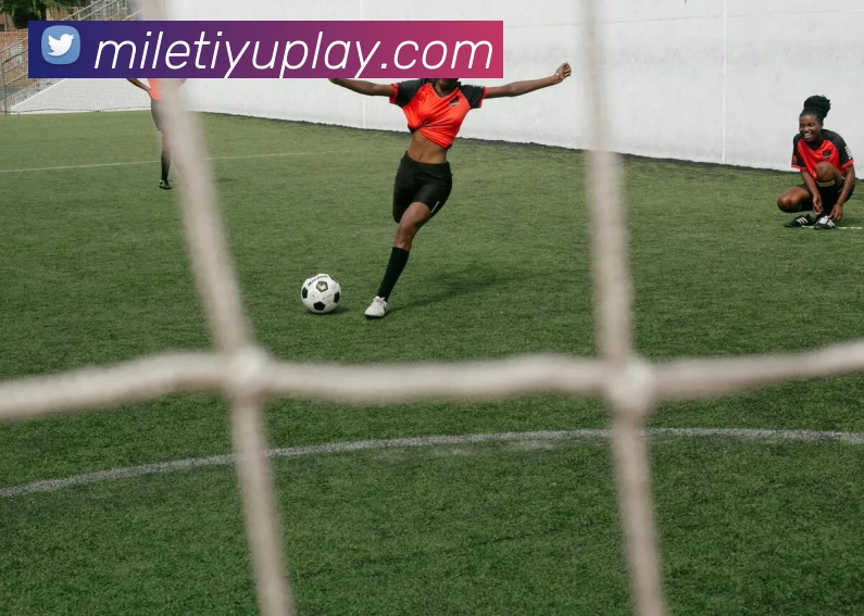 米乐体育品牌故事