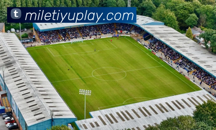 多媒体互动体验